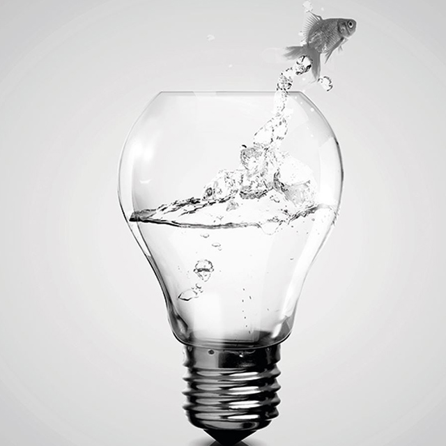 Innovation N°1 - July 2017